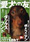 aiken_s.jpg(2341 byte)