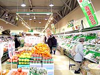 mfood6y.jpg(24609 byte)