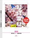 写真素材 ~桜編~
