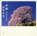 一本桜百めぐり―森田敏隆写真集