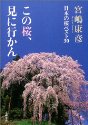 この桜、見に行かん