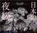 大好きな桜