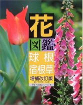 花図鑑 球根+宿根草