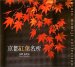 京都紅葉名所 (Suiko books (123))