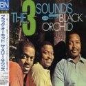 ブラック・オーキッド