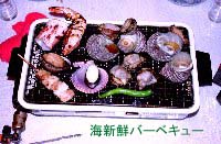 �C�N�o�[�x�L���[