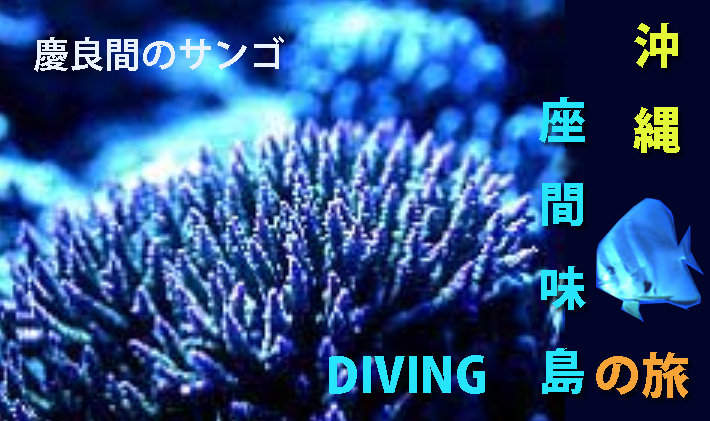 サンゴ