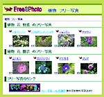 植物 フリー写真
