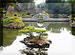 縮景園の写真