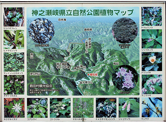 map.jpg(152673 byte)
