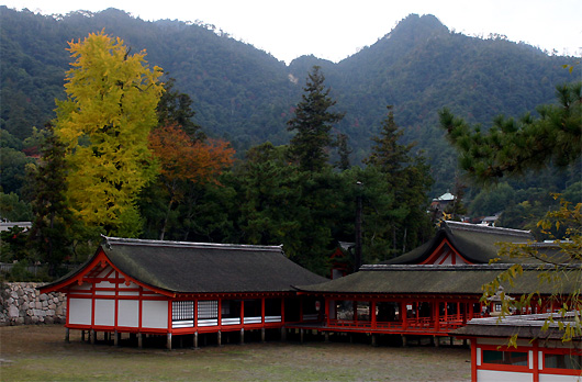 宮島紅葉　朝座屋