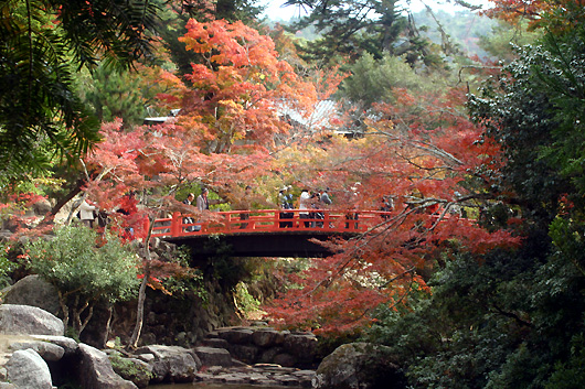 紅葉　もみじ橋