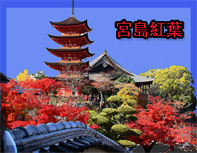 宮島紅葉