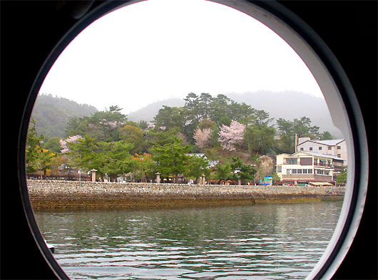 sakura8.jpg(61146 byte)