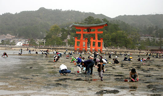 siohi3.jpg(56568 byte)