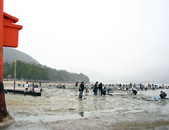 潮干狩り