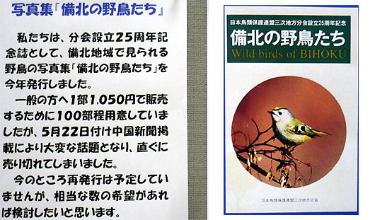 080618c.jpg(66149 byte)