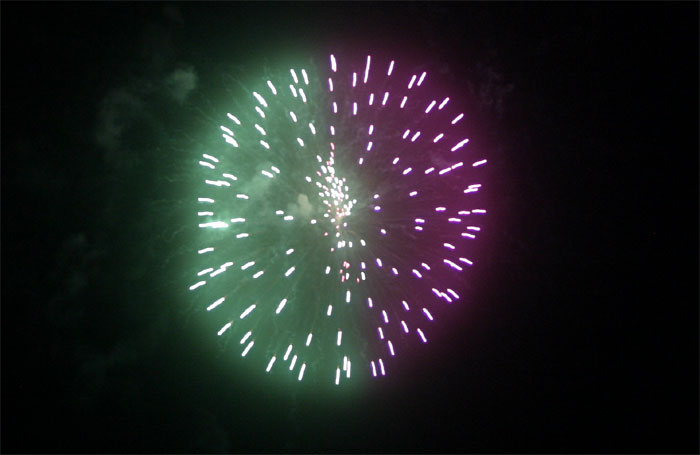 #01 �O���̉ԉ�2008 m001.jpg(37534 byte)