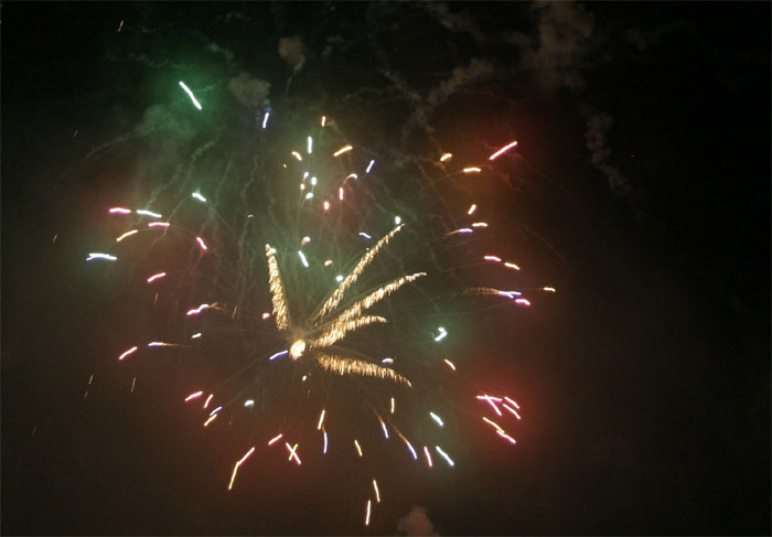 #32 �O���̉ԉ�2008 m031.jpg(42104 byte)
