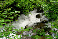 神野瀬川源流