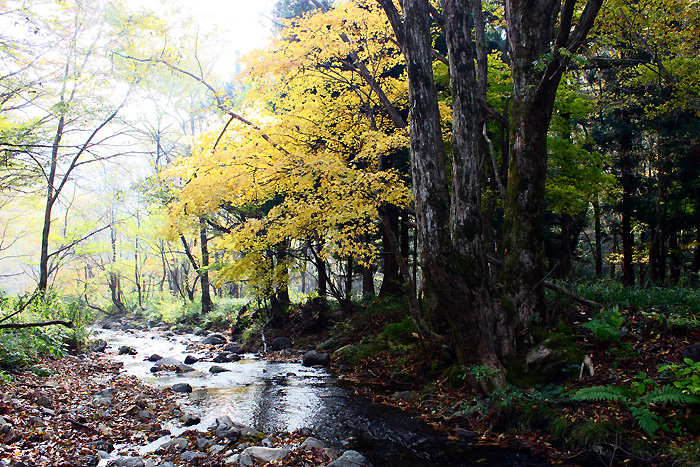 木地山峡の紅葉