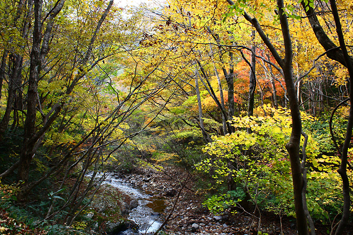 木地山峡の紅葉