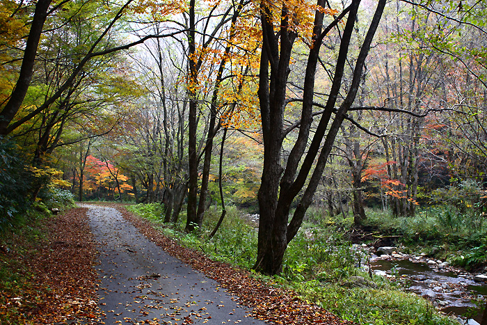 木地山峡の道