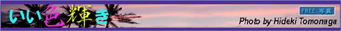 logo700.jpg(15751 byte)