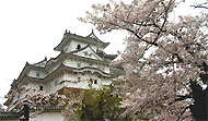 乾小天守と桜