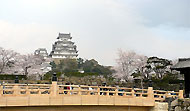 桜門橋