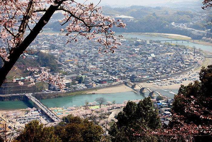 岩国城天主より錦帯橋の写真