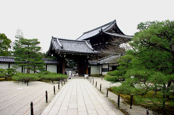 �뉀�̎ʐ^�@�m�a��